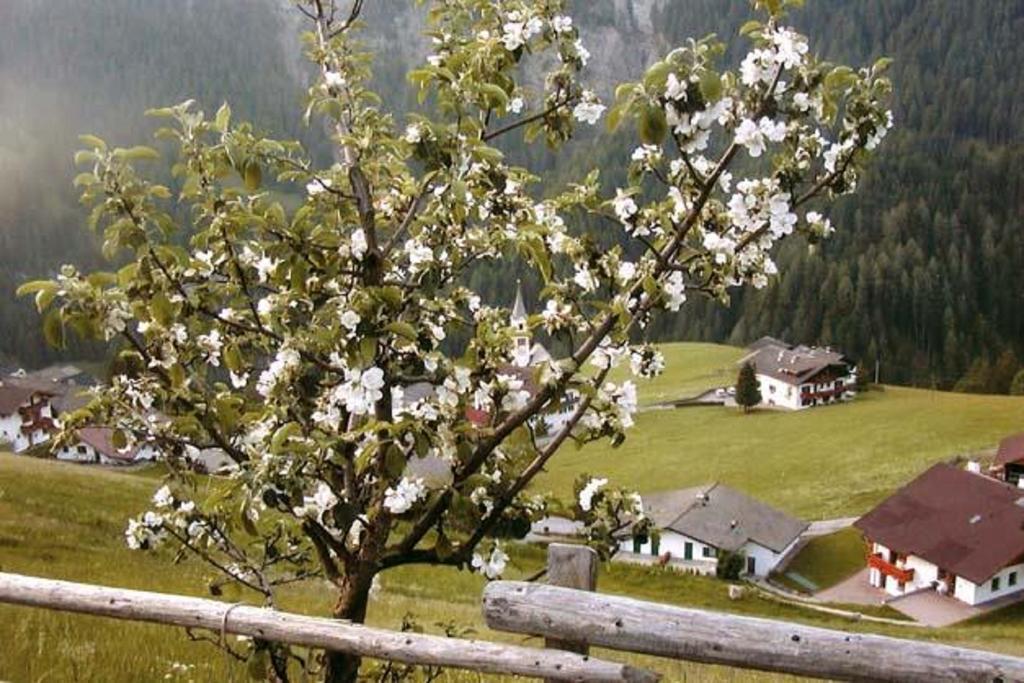 Agriturismo Apartments Tuene St. Ulrich in Gröden Exterior foto